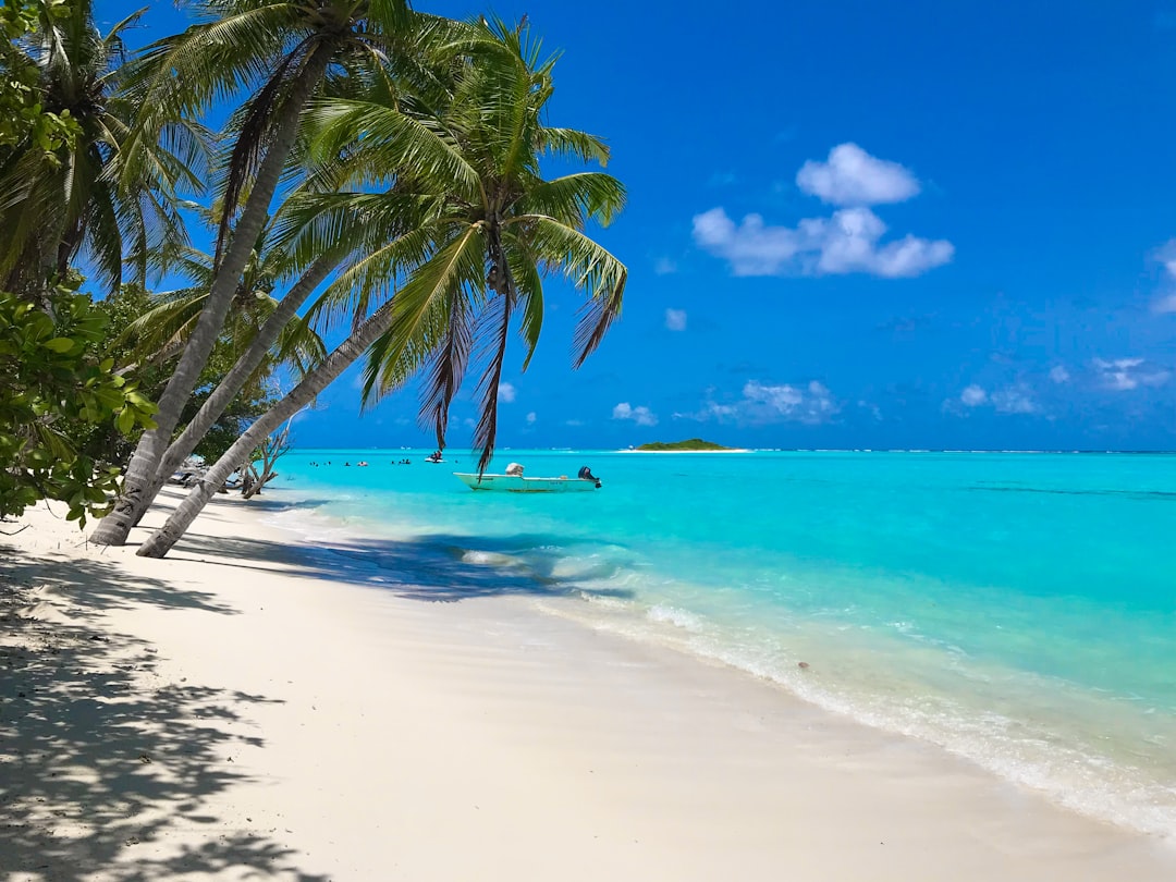 Beach paradise